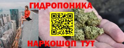mdma Можга
