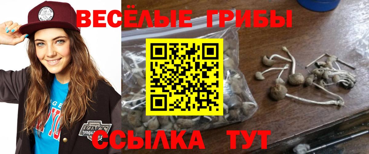 Галлюциногенные грибы GOLDEN TEACHER  Вход с VPN  Псилоцибиновые грибы Cubensis  Чебаркуль 